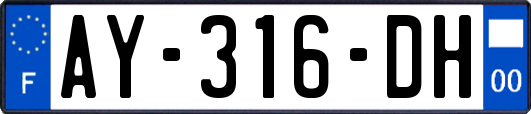 AY-316-DH