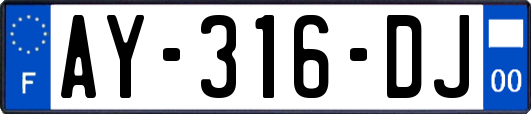 AY-316-DJ