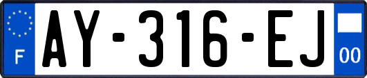 AY-316-EJ