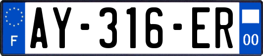 AY-316-ER