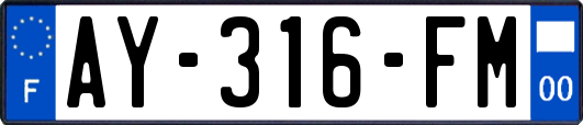 AY-316-FM