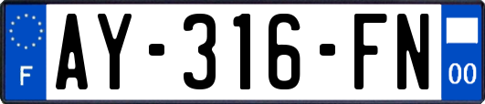 AY-316-FN