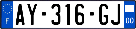 AY-316-GJ