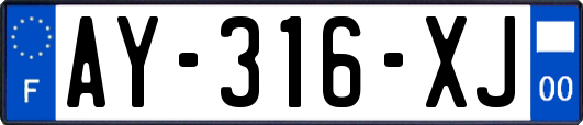 AY-316-XJ
