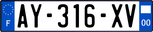 AY-316-XV