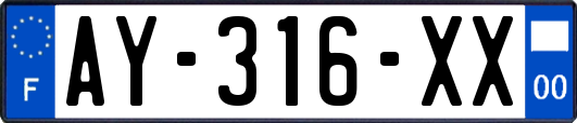 AY-316-XX