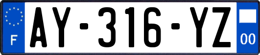AY-316-YZ