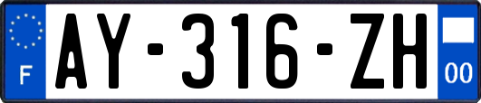 AY-316-ZH
