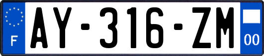 AY-316-ZM