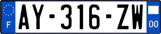 AY-316-ZW