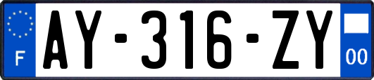 AY-316-ZY