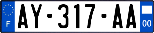 AY-317-AA