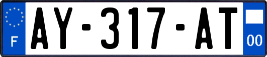 AY-317-AT