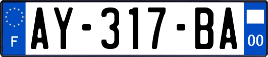 AY-317-BA