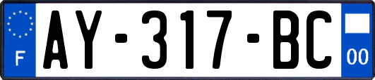 AY-317-BC