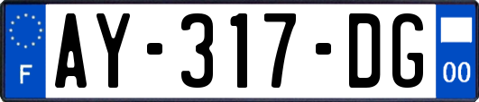 AY-317-DG