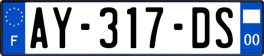 AY-317-DS