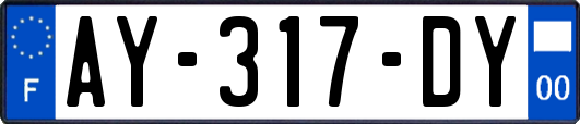 AY-317-DY