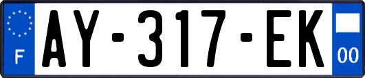 AY-317-EK