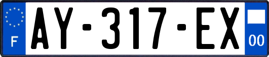 AY-317-EX