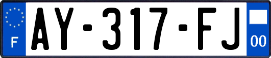 AY-317-FJ