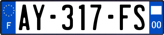 AY-317-FS