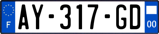 AY-317-GD
