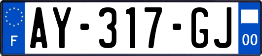 AY-317-GJ