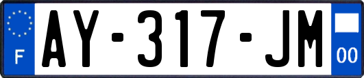 AY-317-JM