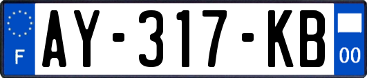 AY-317-KB