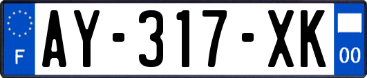 AY-317-XK