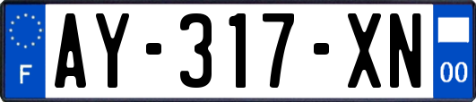 AY-317-XN