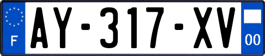 AY-317-XV