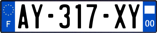 AY-317-XY