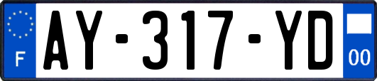 AY-317-YD