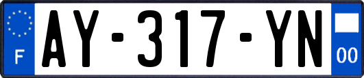 AY-317-YN