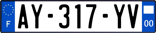 AY-317-YV