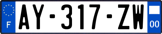 AY-317-ZW