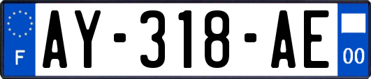 AY-318-AE