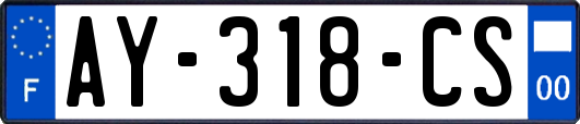 AY-318-CS