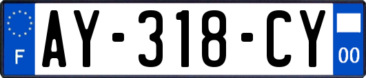 AY-318-CY