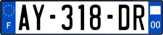 AY-318-DR