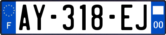 AY-318-EJ