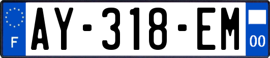 AY-318-EM