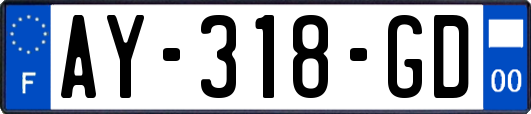AY-318-GD