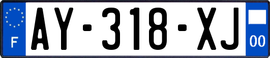 AY-318-XJ