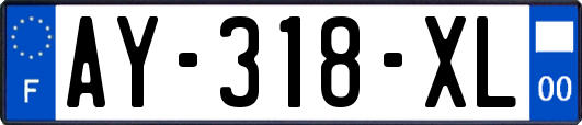 AY-318-XL