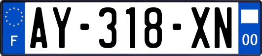 AY-318-XN