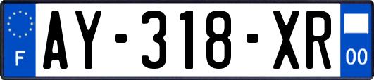 AY-318-XR