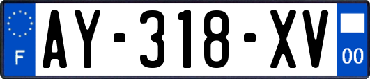 AY-318-XV